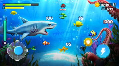 hungry fish game online|hungry shark browser game.